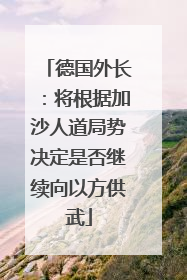 德国外长：将根据加沙人道局势决定是否继续向以方供武